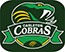 carletoncobra2013